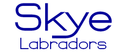 Skye Labs logo