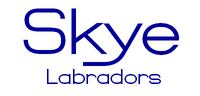 Skye Labs logo